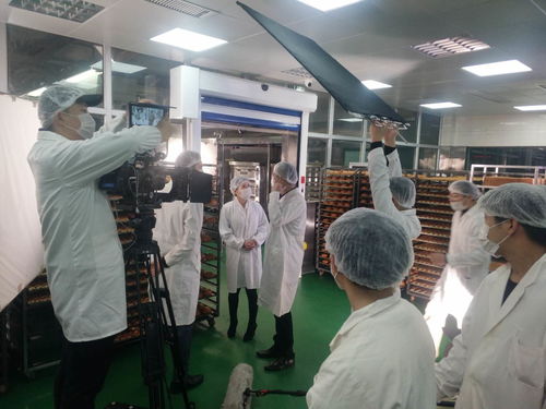 烏魯木齊短片拍攝公司 專業(yè)影像服務(wù)與商務(wù)秘書支持的卓越優(yōu)勢